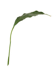 Similar image 22274912