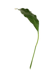 Similar image 22274913