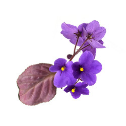 Similar image 22274915