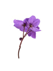 Similar image 22274916