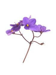 Similar image 22274917