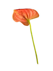 Similar image 22274920