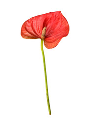 Similar image 22274921