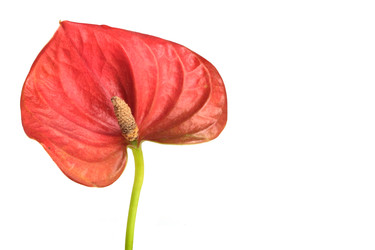 Similar image 22274922