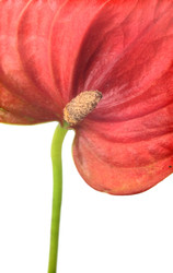 Similar image 22274923