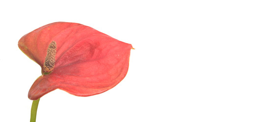 Similar image 22274925