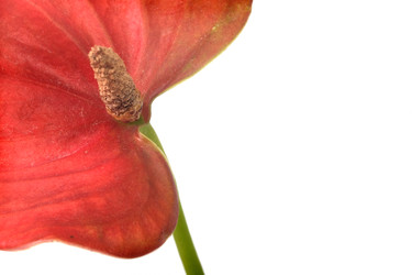 Similar image 22274926