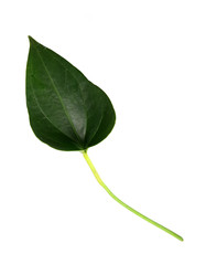 Similar image 22274538