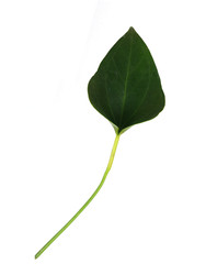 Similar image 22274539