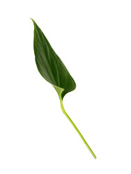 Similar image 22274541