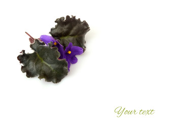 Similar image 22274546