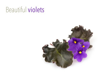 Similar image 22274547