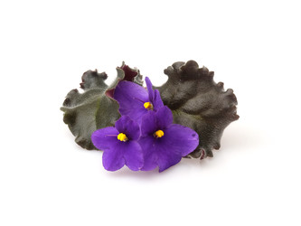 Similar image 22274548