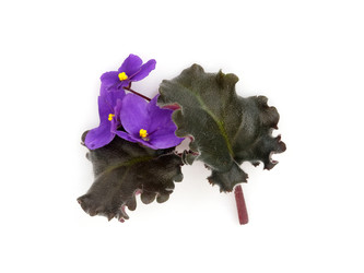 Similar image 22274549