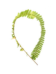 Similar image 22274552