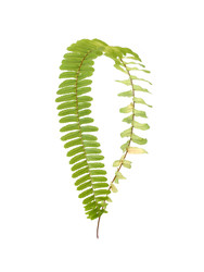 Similar image 22274553