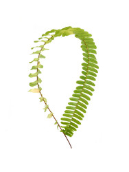 Similar image 22274555