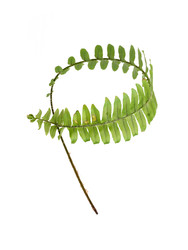 Similar image 22274556