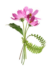 Similar image 22274557