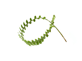 Similar image 22274558