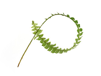 Similar image 22274559