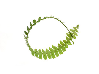 Similar image 22274928