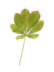 Similar image 22274930