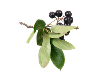 Similar image 22274933