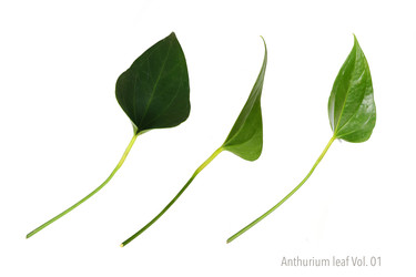 Similar image 22274934