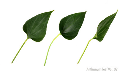 Similar image 22274935