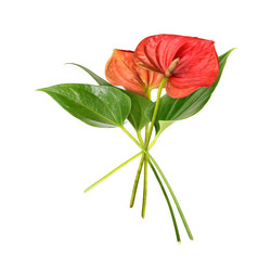 Similar image 22274936