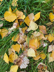 Similar image 22279763