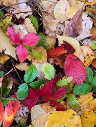 Similar image 22279764