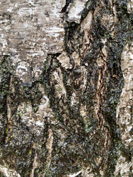 Similar image 22279765