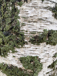 Similar image 22279766