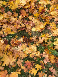 Similar image 22279768