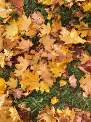 Similar image 22279769