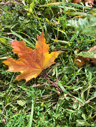 Similar image 22279808