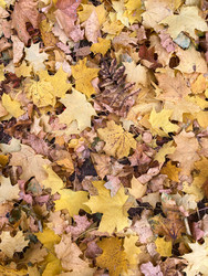 Similar image 22279809