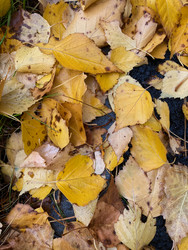 Similar image 22279810