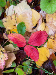 Similar image 22279811