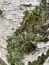 Similar image 22279812