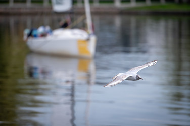 Similar image 22281189