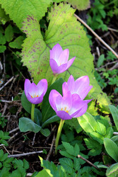 Similar image 22281940