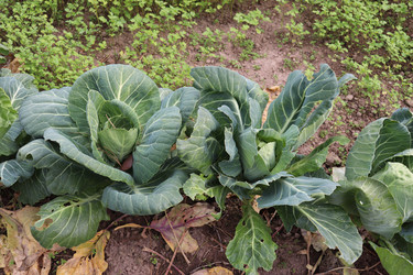 Similar image 22281335