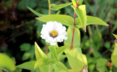 Similar image 22281941