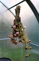 Similar image 22281336