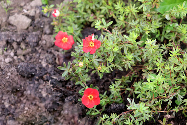 Similar image 22281942