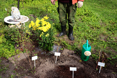 Similar image 22283311