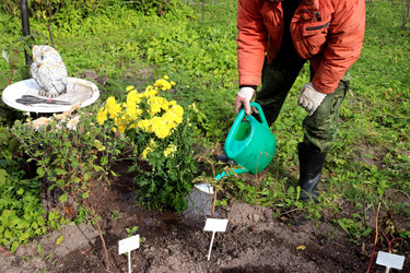 Similar image 22287633